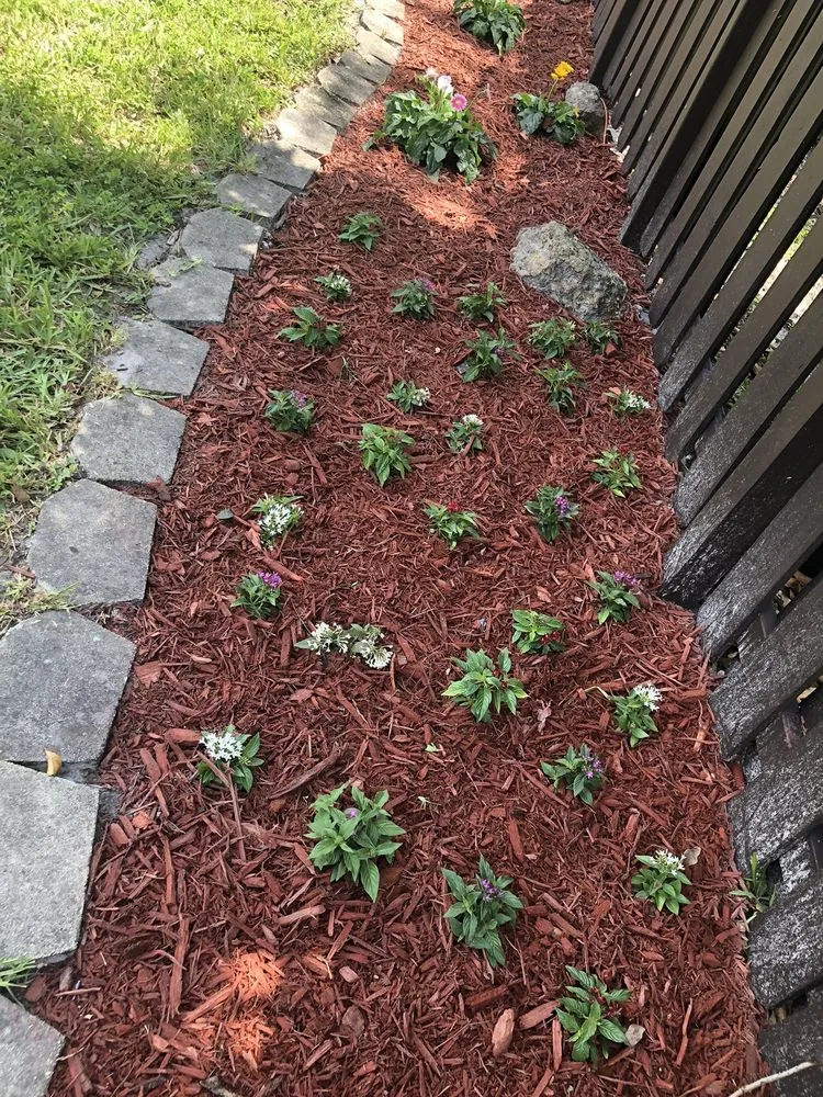 Local outdoor landscaping experts serving Miami, FL - Spraypro