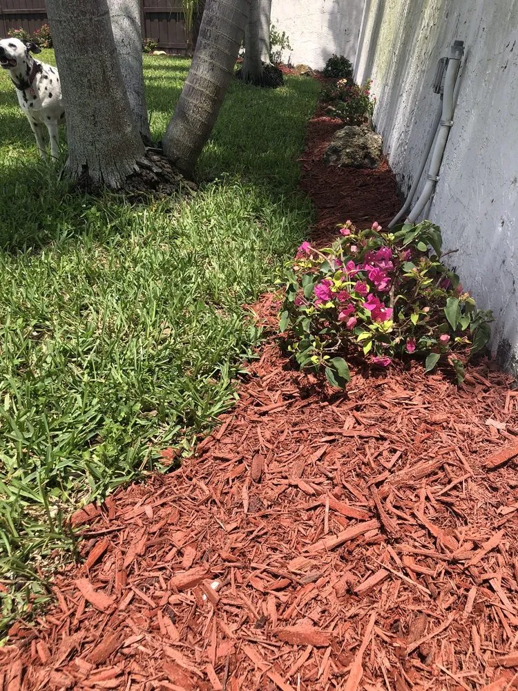 Local landscape design for homes in Miami, FL by Spraypro