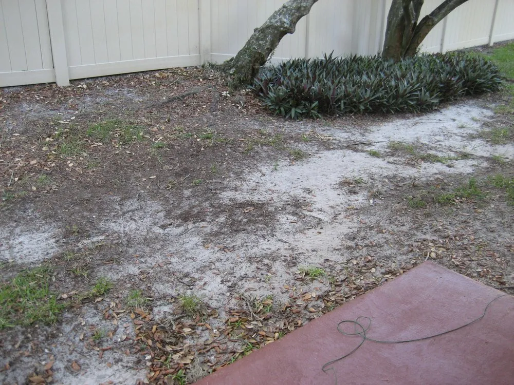Custom landscape installation for year-round maintenance in Hudson, FL by Spreadbury Landscape & Lawn Maintenance