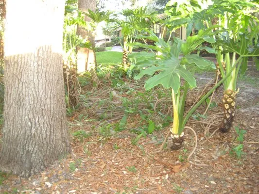 Spreadbury Landscape & Lawn Maintenance