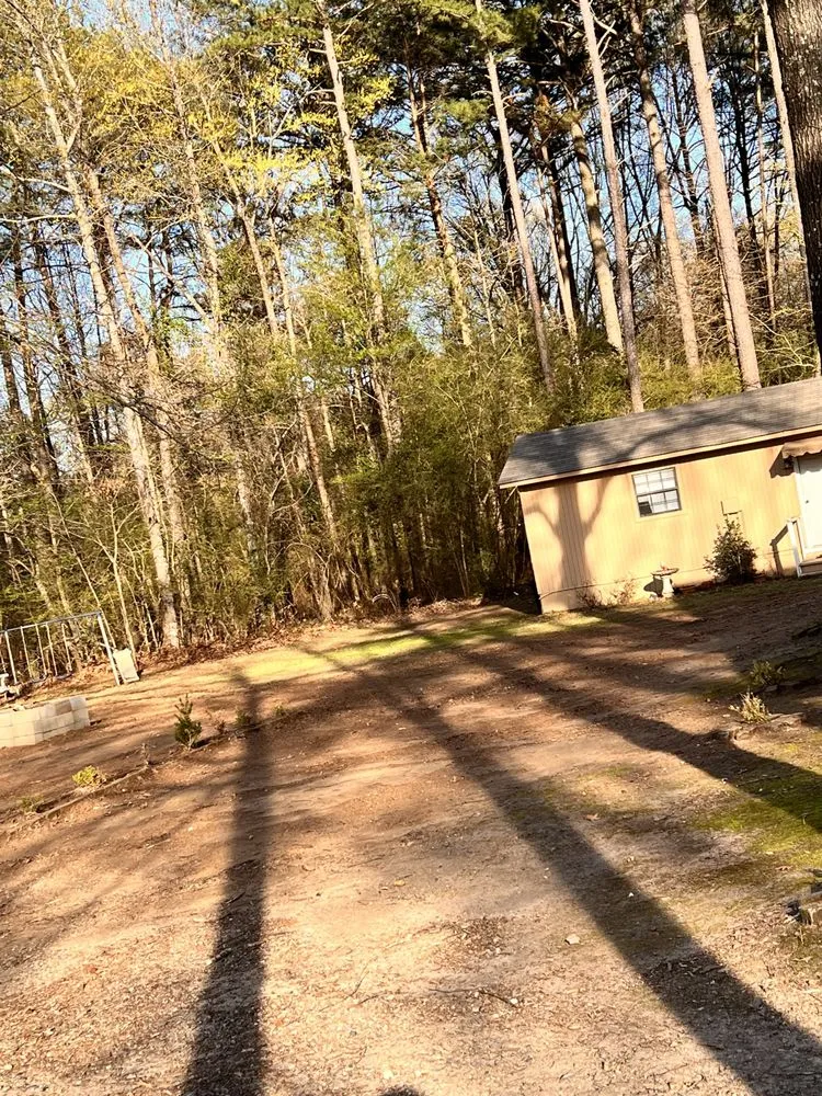 Professional yard cleanup service in Texarkana, TX - Spriggs Lawn Care