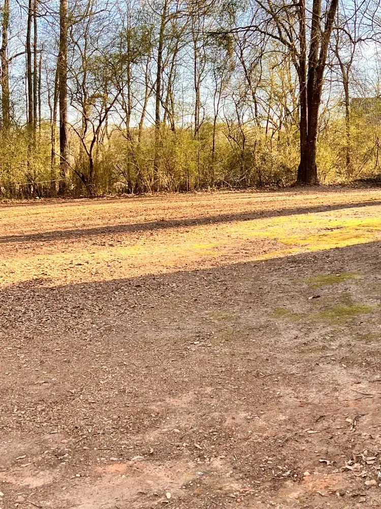 Top-rated garden landscaping in Texarkana, TX - Spriggs Lawn Care