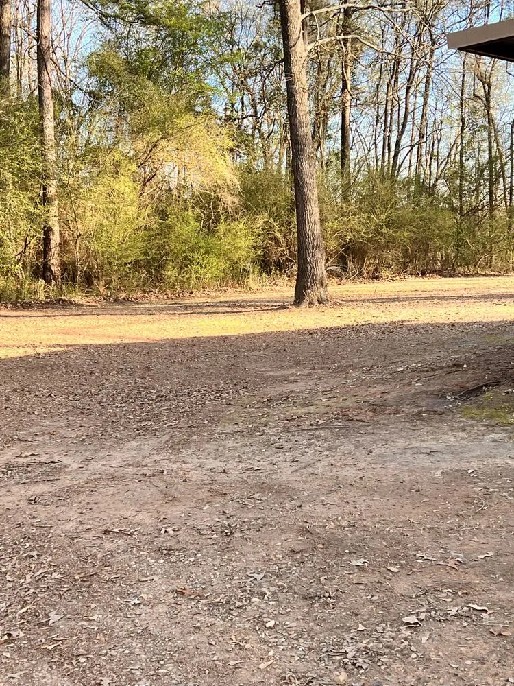 Reliable lawn mowing service for homes in Texarkana, TX by Spriggs Lawn Care