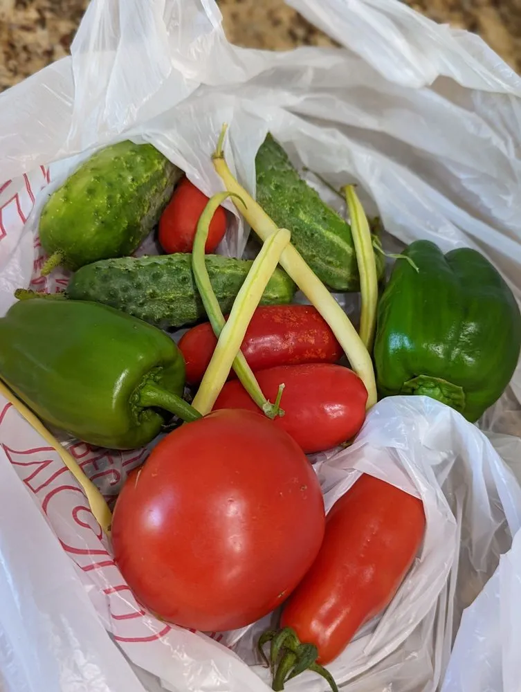 Local yard maintenance with custom design in Sugar Grove, IL by Spring Bluff Nursery