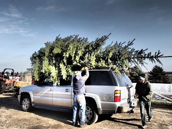 Custom lawn mowing service in Sugar Grove, IL - Spring Bluff Nursery