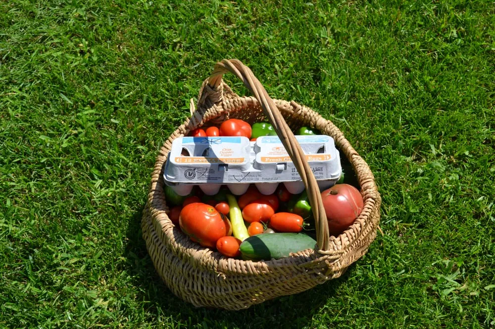 Trusted yard cleanup service near you across Sugar Grove, IL - Spring Bluff Nursery