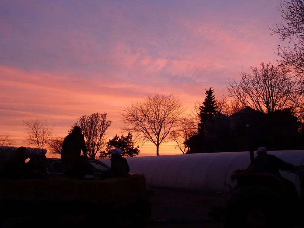 Custom landscape design in Sugar Grove, IL - Spring Bluff Nursery