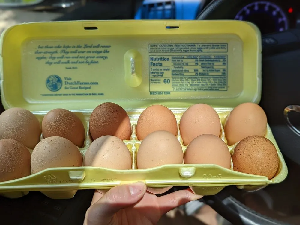 Expert landscape design experts serving Sugar Grove, IL - Spring Bluff Nursery