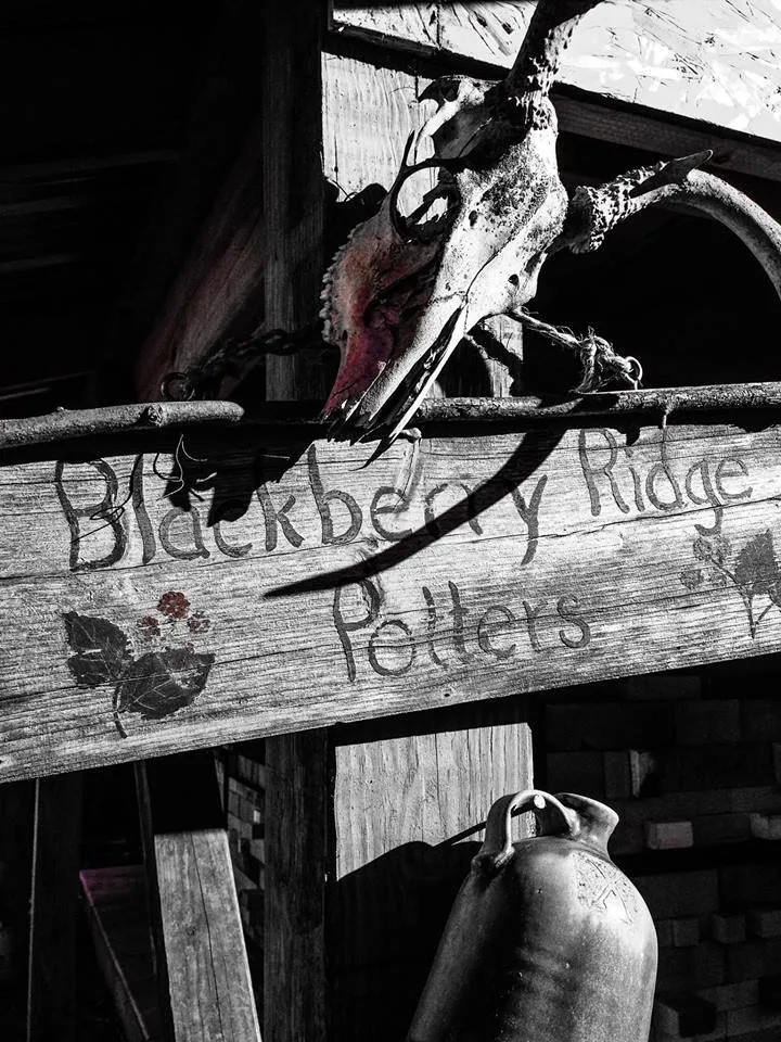 Expert yard maintenance near you across Sugar Grove, IL - Spring Bluff Nursery