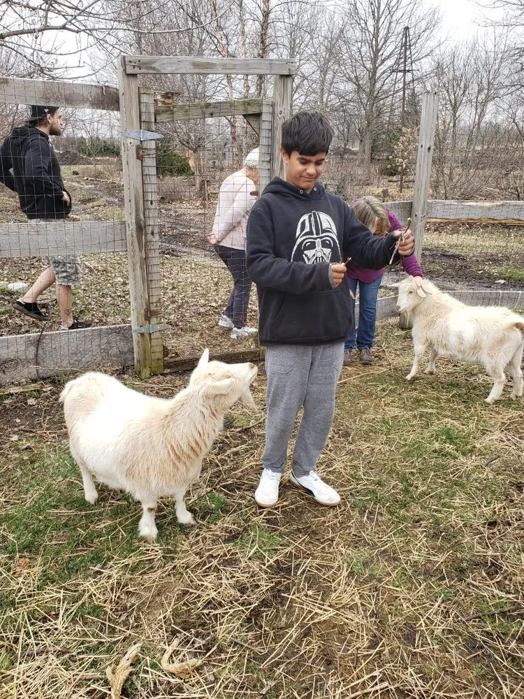 Trusted lawn mowing service in Sugar Grove, IL by Spring Bluff Nursery