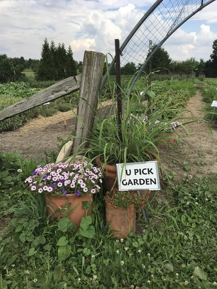 Professional landscape installation in Sugar Grove, IL by Spring Bluff Nursery