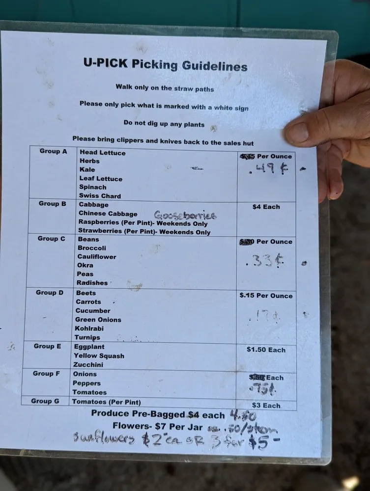 Expert lawn care service experts serving Sugar Grove, IL - Spring Bluff Nursery