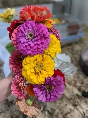 Spring Bluff Nursery