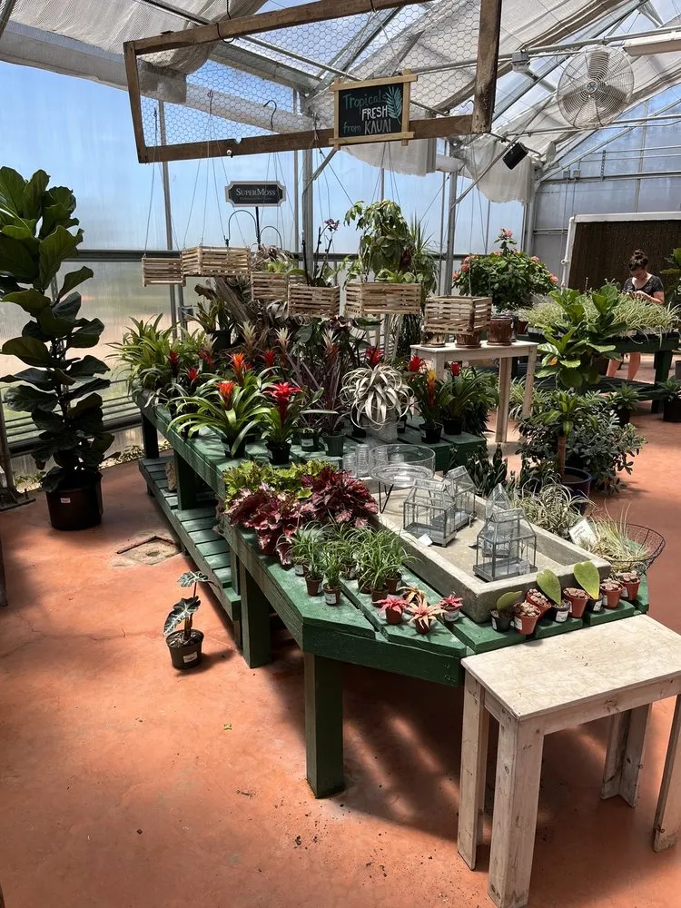 Custom landscaping services near you in Spring Branch, TX by Spring Creek Gardens