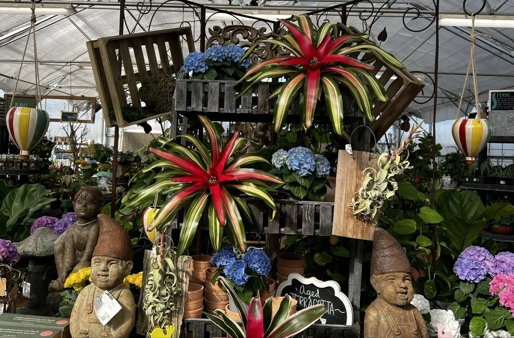 Affordable landscape installation near you in Spring Branch, TX by Spring Creek Gardens