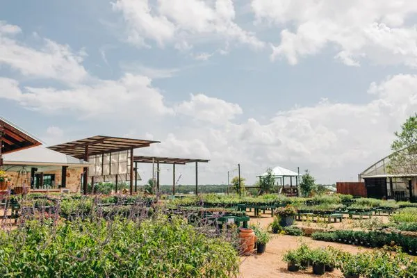 Spring Creek Gardens Logo