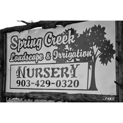 Spring Creek Nursery