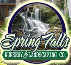 Trusted yard cleanup service in Idaho Falls, ID by Spring Falls Landscaping