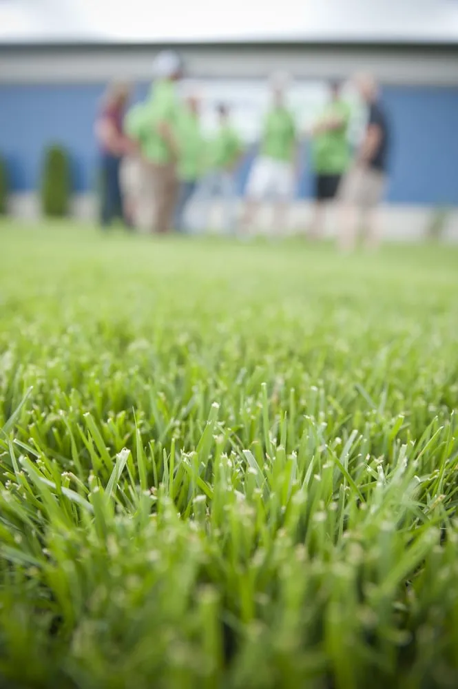 Trusted yard maintenance experts serving Fort Wayne, IN - Spring Green
