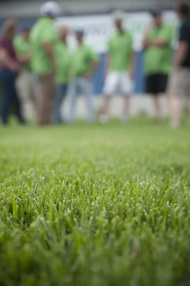 Custom lawn care service in Fort Wayne, IN - Spring Green