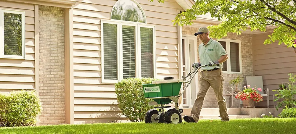 Affordable yard cleanup service in Zumbrota, MN by Spring-Green Lawn & Tree Care