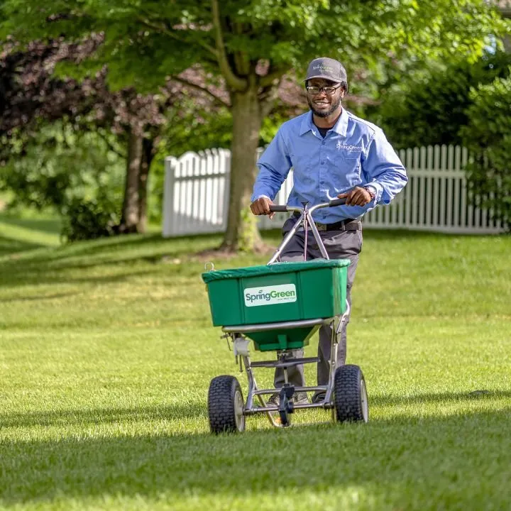 Custom garden landscaping in Zumbrota, MN by Spring-Green Lawn & Tree Care