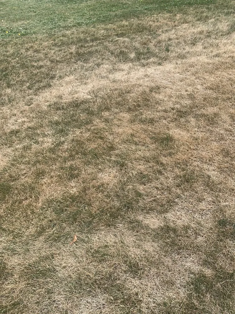 Reliable yard maintenance experts serving Mequon, WI - Spring-Green Lawn Care