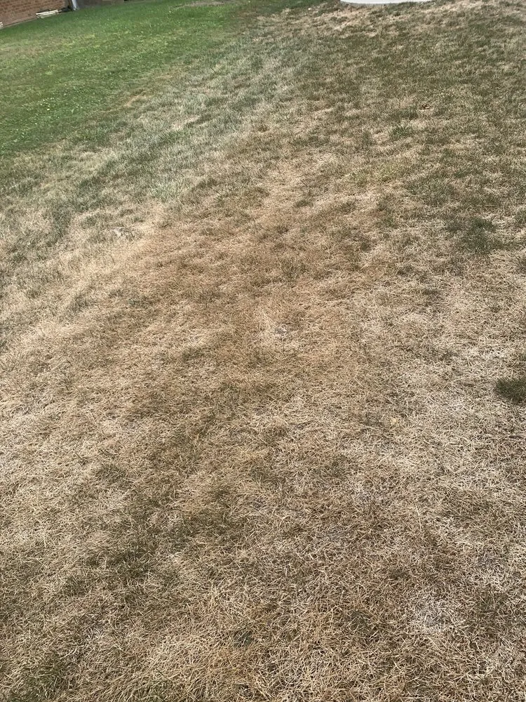 Top-rated landscape design for homes across Mequon, WI - Spring-Green Lawn Care