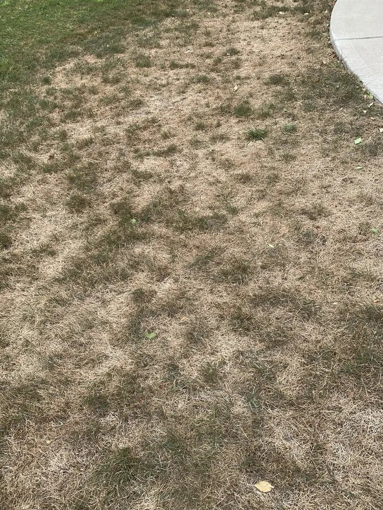 Top-rated garden landscaping in Mequon, WI by Spring-Green Lawn Care