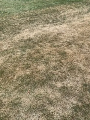 Spring-Green Lawn Care