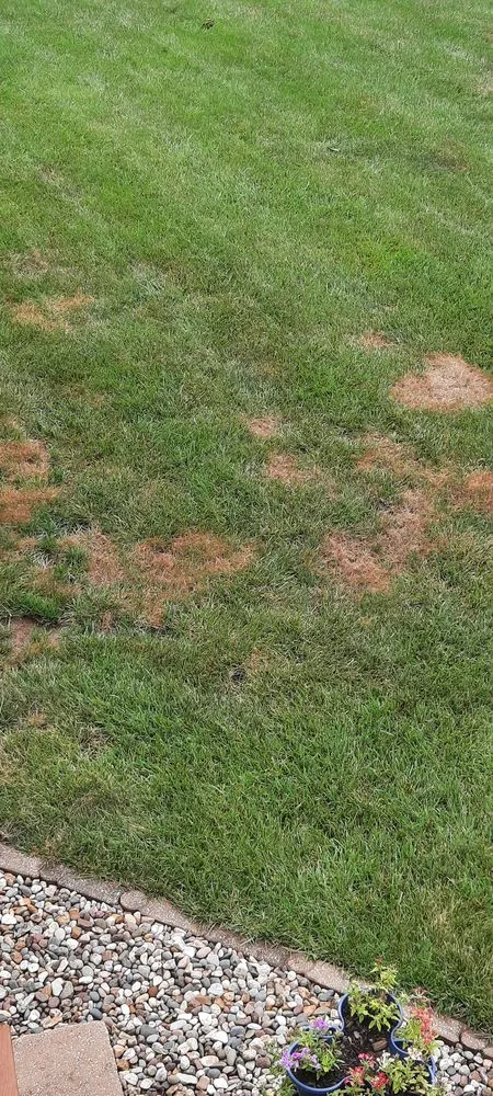 Expert yard maintenance in Saint Charles, MO by Spring-Green Lawn Care