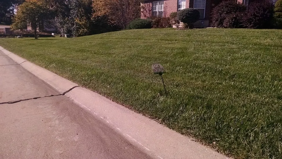 Expert landscaping services experts serving Saint Charles, MO - Spring-Green Lawn Care