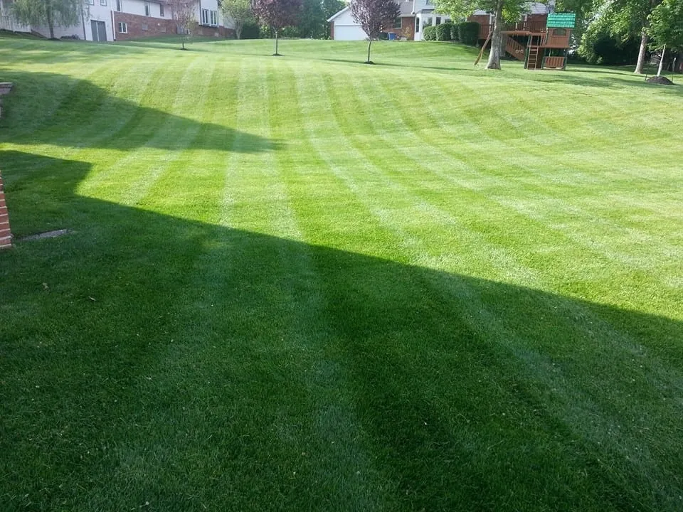 Local landscape installation in Saint Charles, MO - Spring-Green Lawn Care