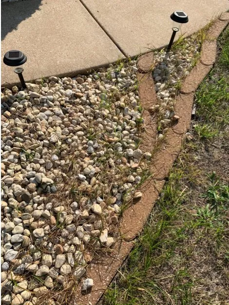 Local yard cleanup service near you in Saint Charles, MO by Spring-Green Lawn Care