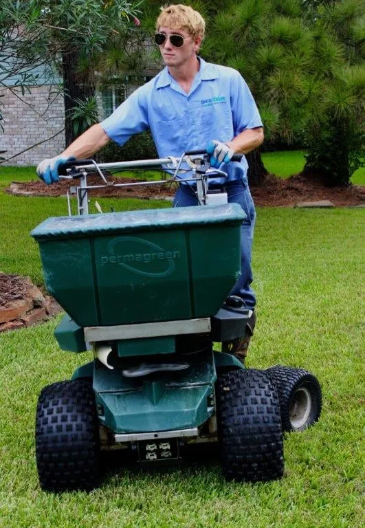 Expert landscape installation experts serving Spring, TX - Spring-Green Lawn Care