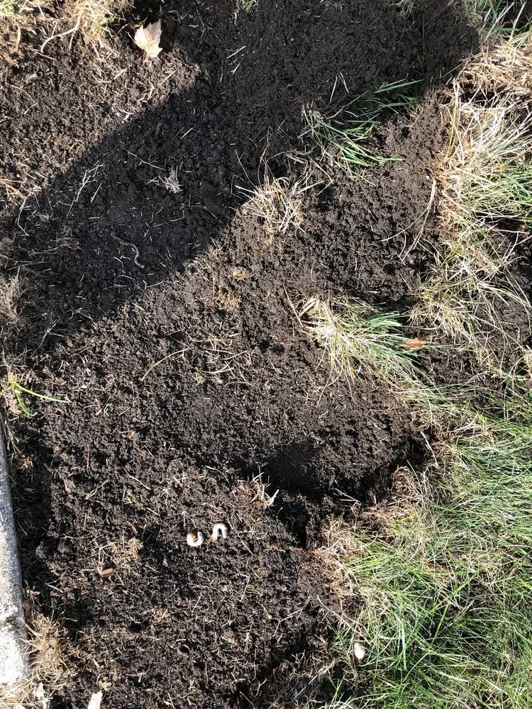 Expert outdoor landscaping for outdoor upgrades across Sturtevant, WI - Spring-Green Lawn Care