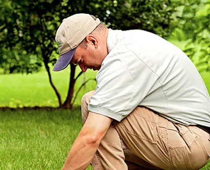 Local landscape design experts serving Sturtevant, WI - Spring-Green Lawn Care