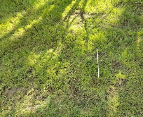 Spring-Green Lawn Care