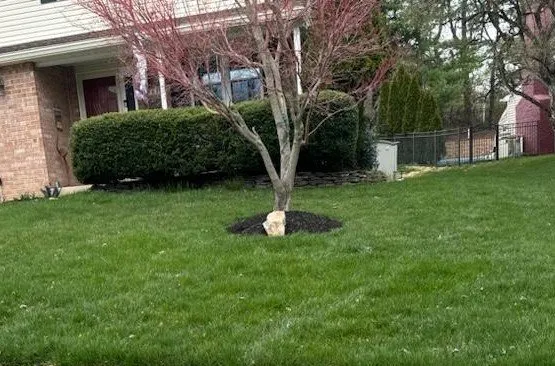 Professional outdoor landscaping for year-round maintenance in W Conshohocken, PA by Spring-Green Lawn Care
