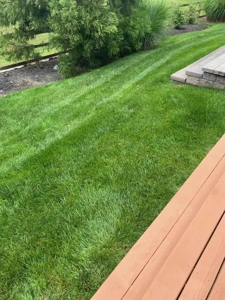 Custom landscaping services in W Conshohocken, PA by Spring-Green Lawn Care