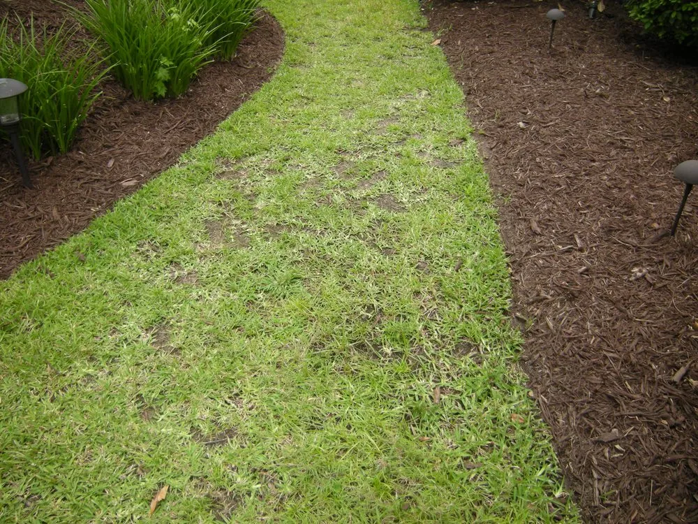 Affordable landscape installation for homes in Myrtle Beach, SC by Spring Green