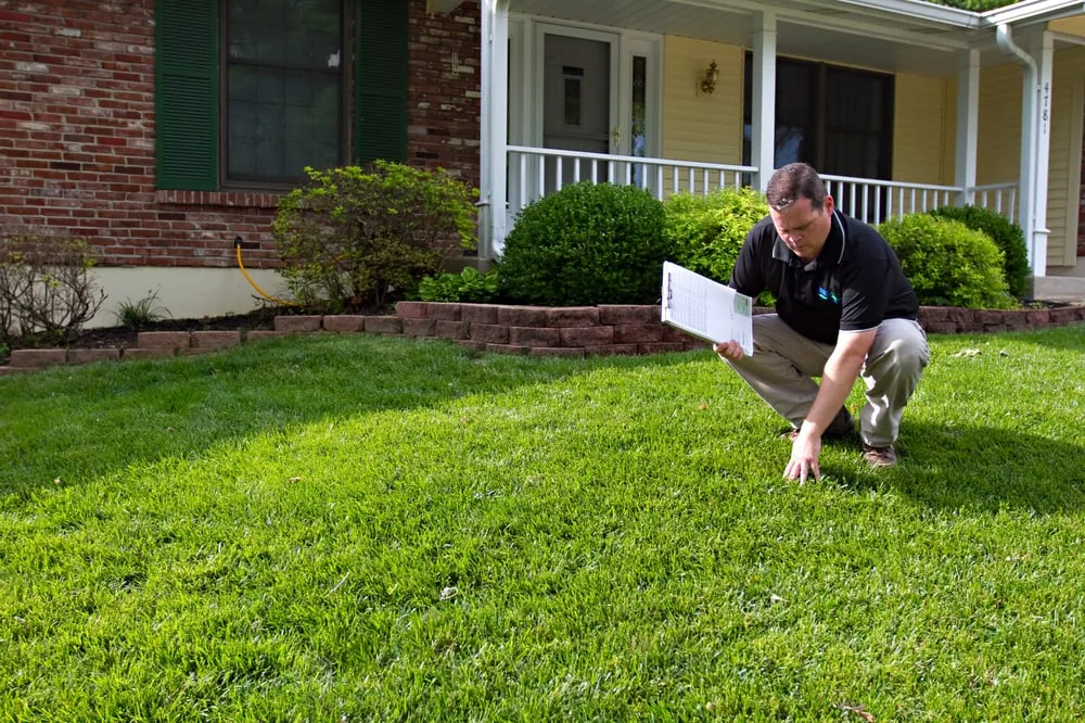 Expert residential landscaping in Saint Louis, MO - Spring Green