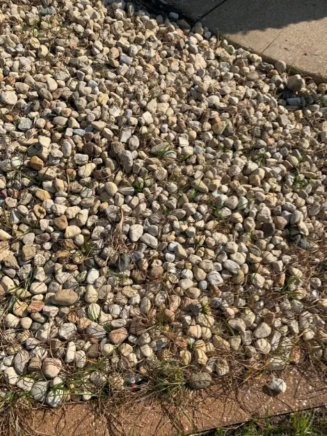 Reliable yard maintenance for outdoor upgrades in Saint Louis, MO by Spring Green