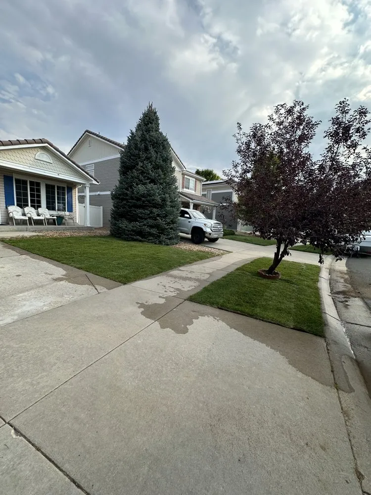 Reliable yard cleanup service experts serving Fort Worth, TX - Spring Hill Farms