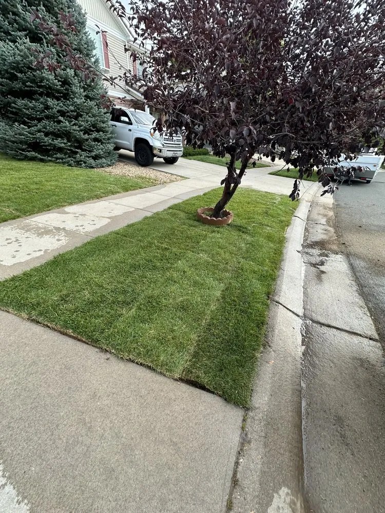 Reliable residential landscaping experts serving Fort Worth, TX - Spring Hill Farms