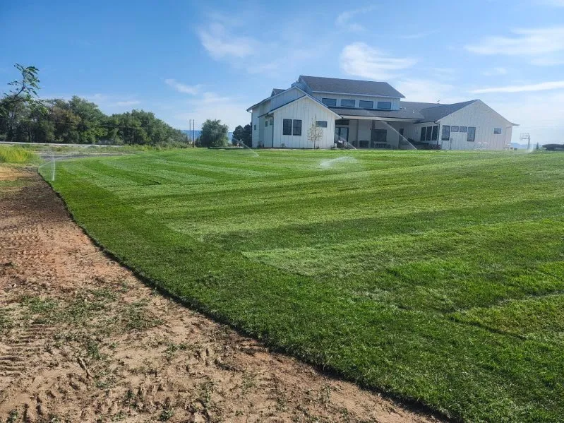 Top-rated yard maintenance in Fort Worth, TX by Spring Hill Farms