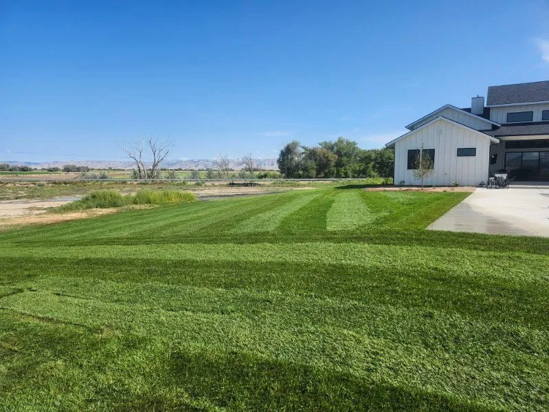 Affordable outdoor landscaping in Fort Worth, TX by Spring Hill Farms