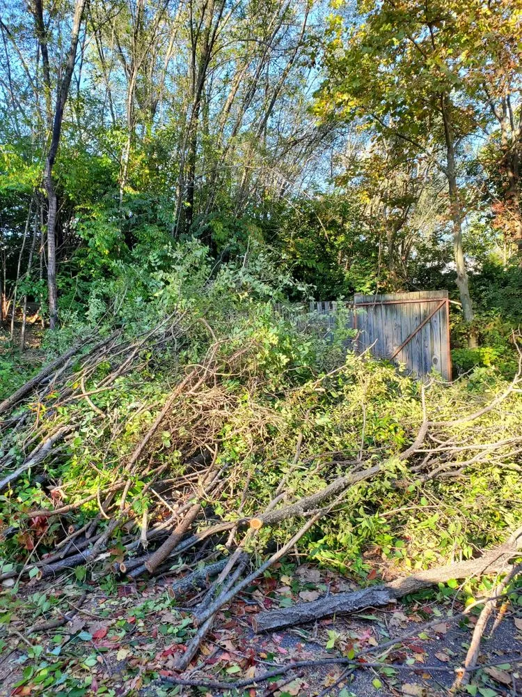 Affordable lawn care service in Winchester, VA by Spring Hill Landscaping