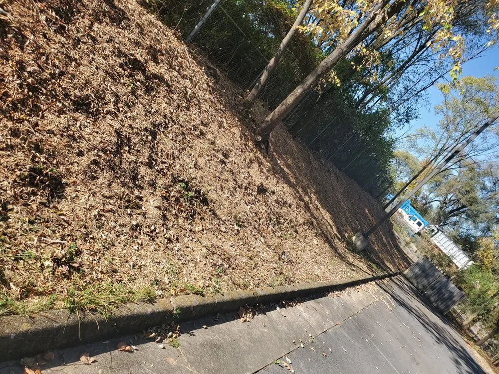 Custom yard cleanup service in Winchester, VA by Spring Hill Landscaping