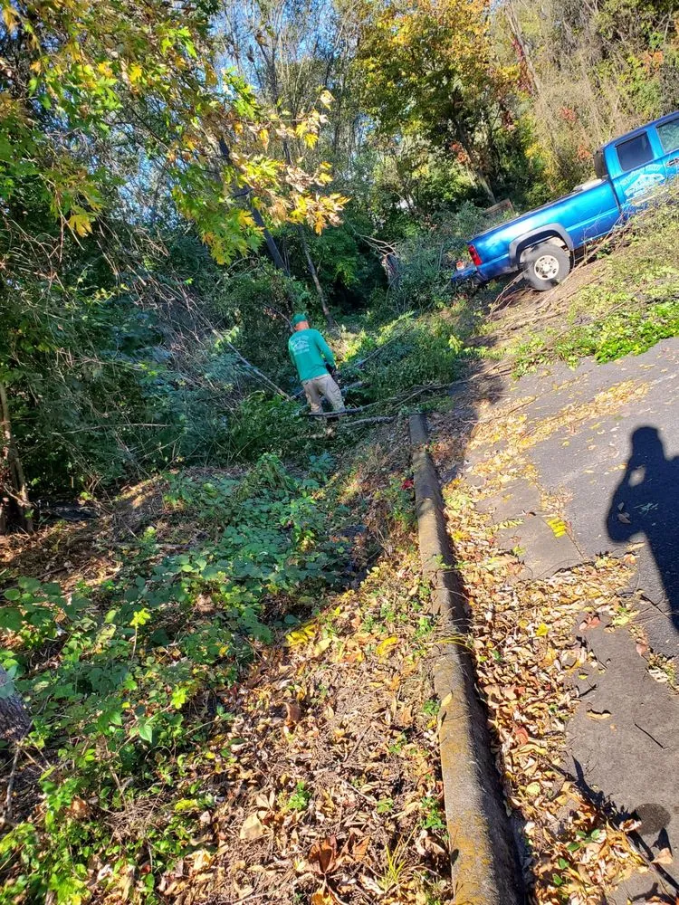 Reliable residential landscaping for beautiful yards across Winchester, VA - Spring Hill Landscaping